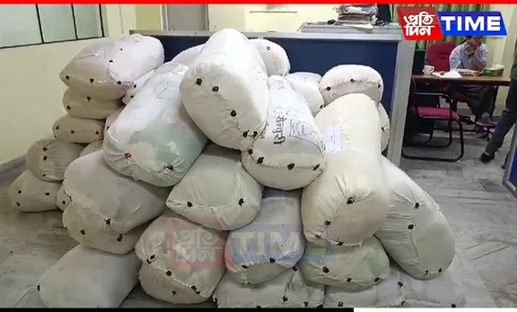 Assam: Ganja Worth Rs 1.53 Crore Seized in Kamrup, One Held